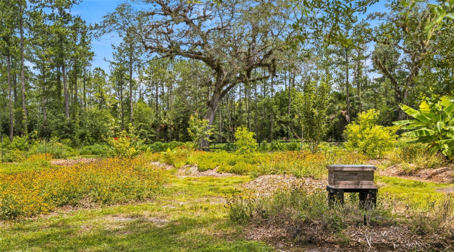 Silver Springs, Florida 34488, 4 Bedroom Bedrooms, ,3 Bathroombathrooms,Residential,For Sale,1St Street,0,Mfrom727438