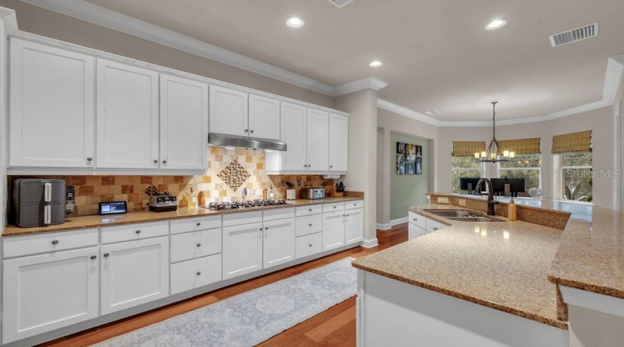 Lithia, Florida 33547, 4 Bedroom Bedrooms, ,4 Bathroombathrooms,Residential,For Sale,Ternglade,0,Mfrtb8540740
