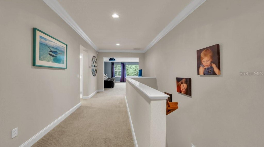 Lithia, Florida 33547, 4 Bedroom Bedrooms, ,4 Bathroombathrooms,Residential,For Sale,Ternglade,0,Mfrtb8540740