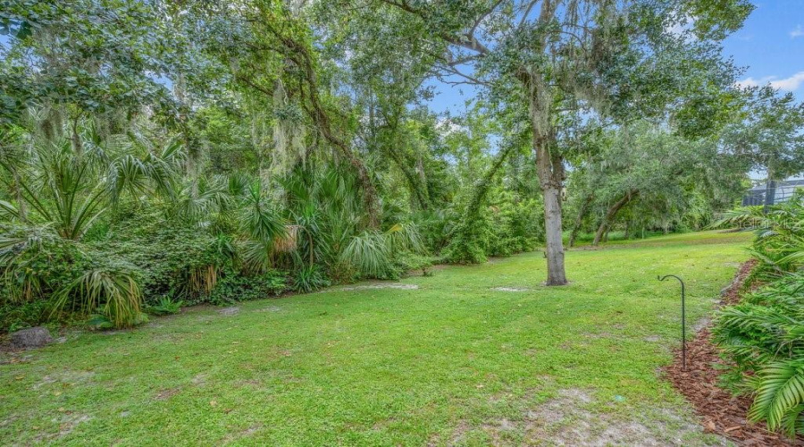 Lithia, Florida 33547, 4 Bedroom Bedrooms, ,4 Bathroombathrooms,Residential,For Sale,Ternglade,0,Mfrtb8540740