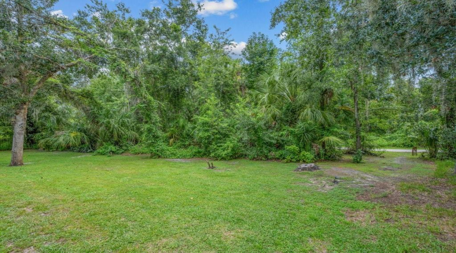 Lithia, Florida 33547, 4 Bedroom Bedrooms, ,4 Bathroombathrooms,Residential,For Sale,Ternglade,0,Mfrtb8540740