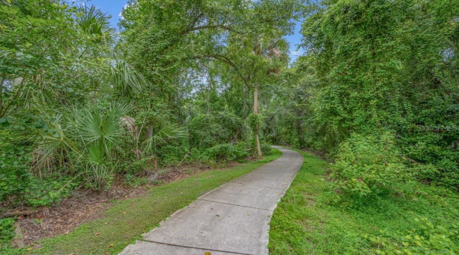 Lithia, Florida 33547, 4 Bedroom Bedrooms, ,4 Bathroombathrooms,Residential,For Sale,Ternglade,0,Mfrtb8540740