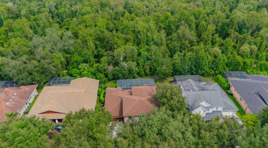 Lithia, Florida 33547, 4 Bedroom Bedrooms, ,4 Bathroombathrooms,Residential,For Sale,Ternglade,0,Mfrtb8540740