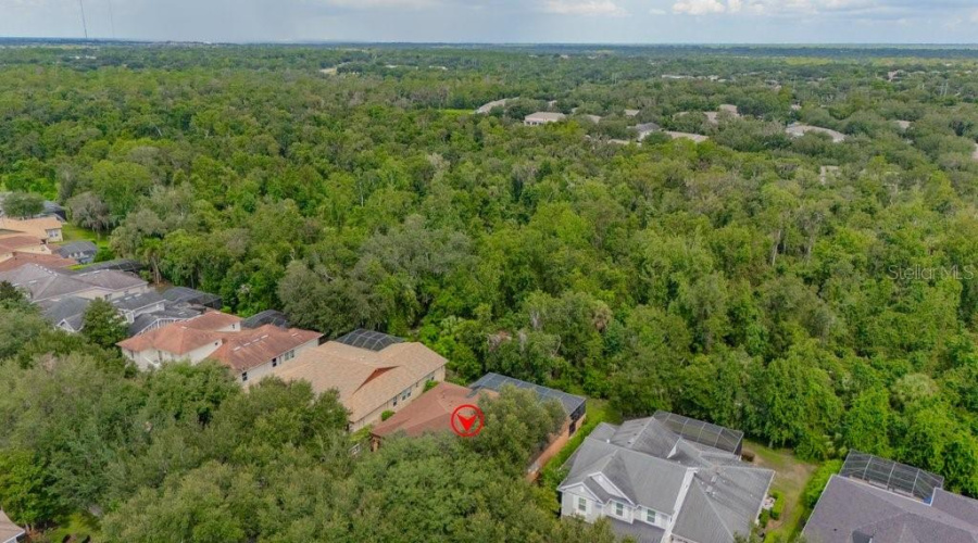 Lithia, Florida 33547, 4 Bedroom Bedrooms, ,4 Bathroombathrooms,Residential,For Sale,Ternglade,0,Mfrtb8540740