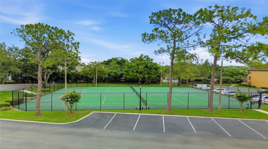 Tennis/Pickle Ball