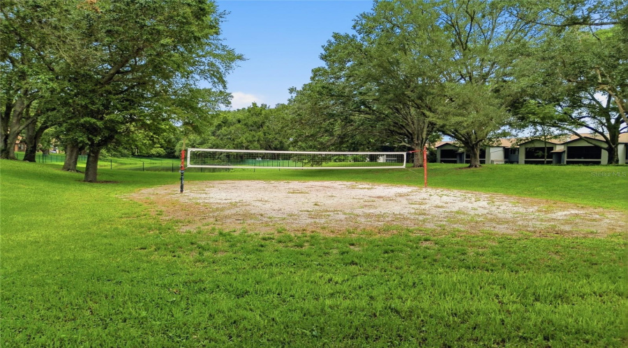 Volleyball