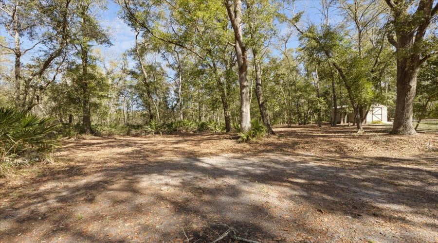 Old Town, Florida 32680, 3 Bedroom Bedrooms, ,2 Bathroombathrooms,Residential,For Sale,743Rd,0,Mfrgc537628