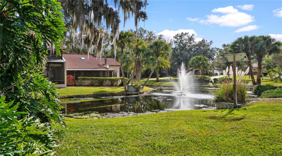 View Of Pond And Fountain