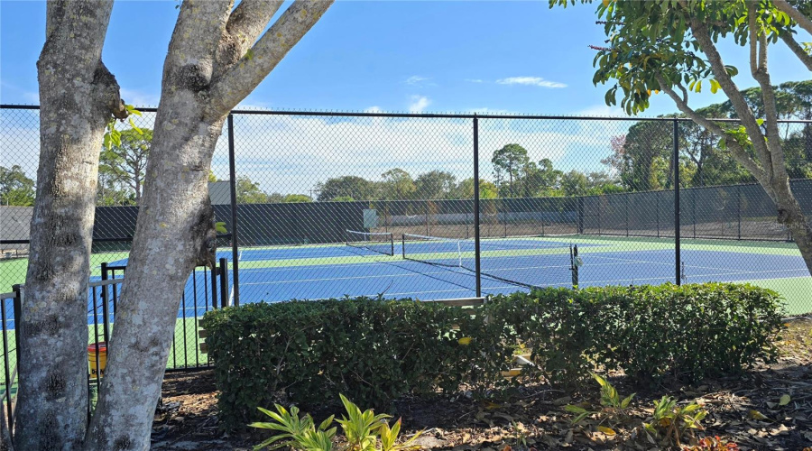 Tennis Anyone?