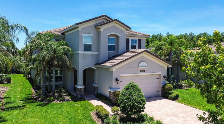 30932 Lindentree