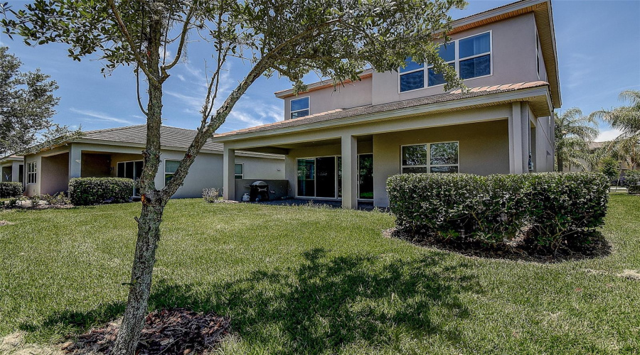 Backyard Exterior