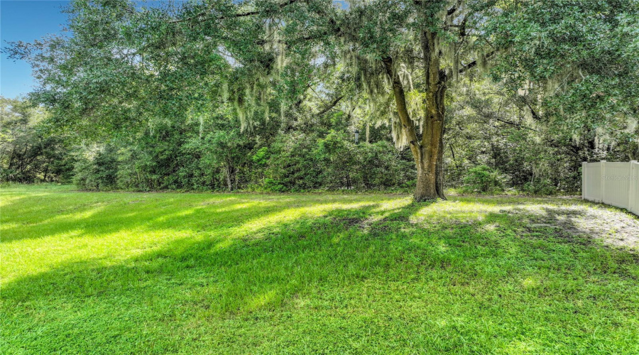 Sorrento, Florida 32776, 3 Bedroom Bedrooms, ,3 Bathroombathrooms,Residential,For Sale,Geoff,0,Mfro6430404