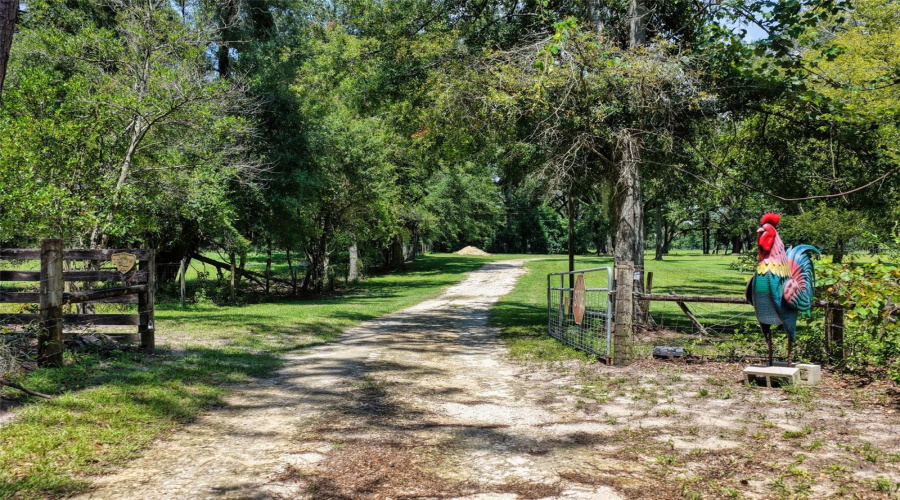 Live Oak, Florida 32060, 3 Bedroom Bedrooms, ,2 Bathroombathrooms,Residential,For Sale,160Th,0,Mfrv4950900