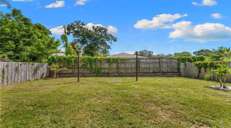 Backyard