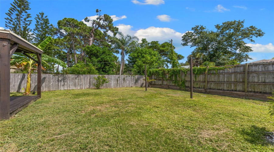 Spacious Backyard