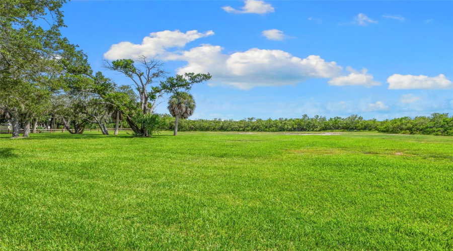 Vamo Drive Park