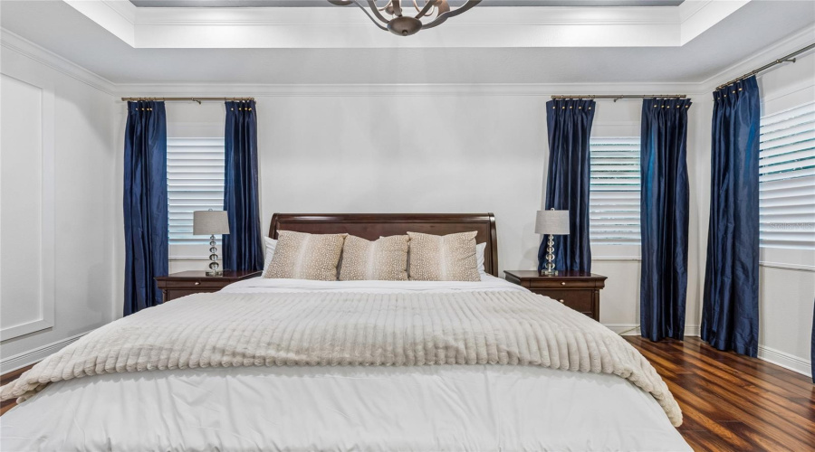 Lutz, Florida 33558, 5 Bedroom Bedrooms, ,4 Bathroombathrooms,Residential,For Sale,Feather Grass Loop,0,Mfrtb8534872