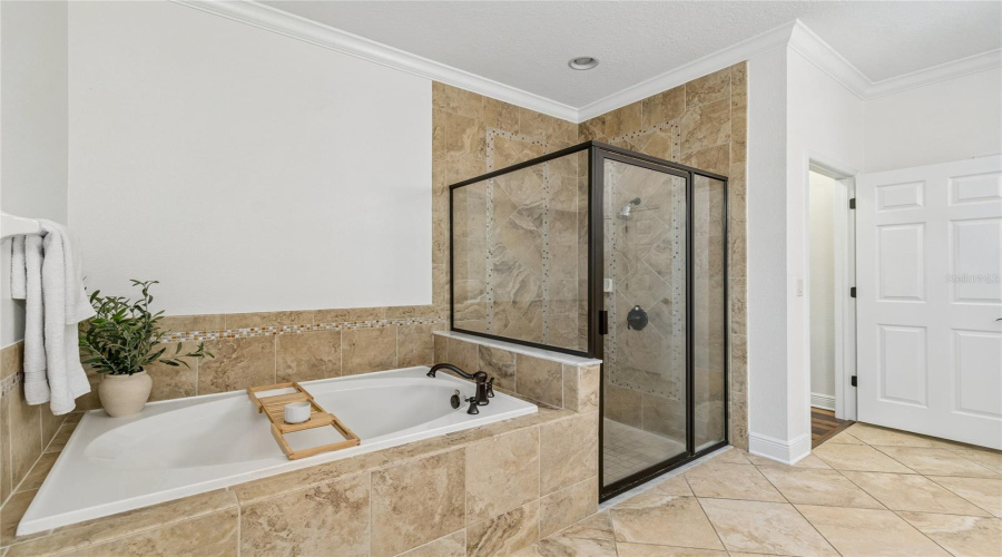 Lutz, Florida 33558, 5 Bedroom Bedrooms, ,4 Bathroombathrooms,Residential,For Sale,Feather Grass Loop,0,Mfrtb8534872