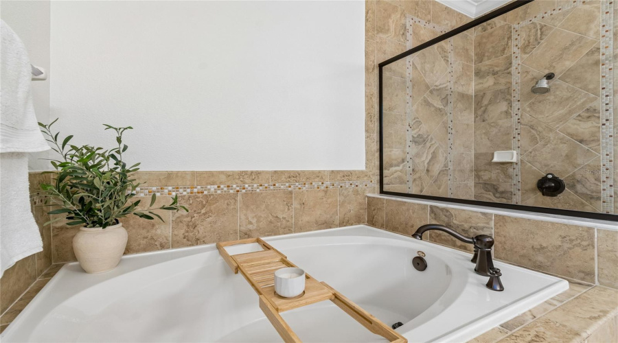 Lutz, Florida 33558, 5 Bedroom Bedrooms, ,4 Bathroombathrooms,Residential,For Sale,Feather Grass Loop,0,Mfrtb8534872