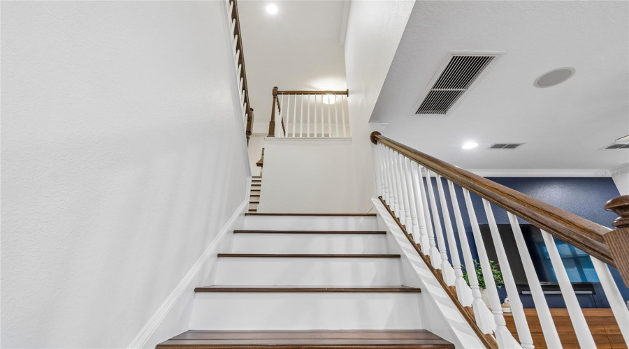 Lutz, Florida 33558, 5 Bedroom Bedrooms, ,4 Bathroombathrooms,Residential,For Sale,Feather Grass Loop,0,Mfrtb8534872