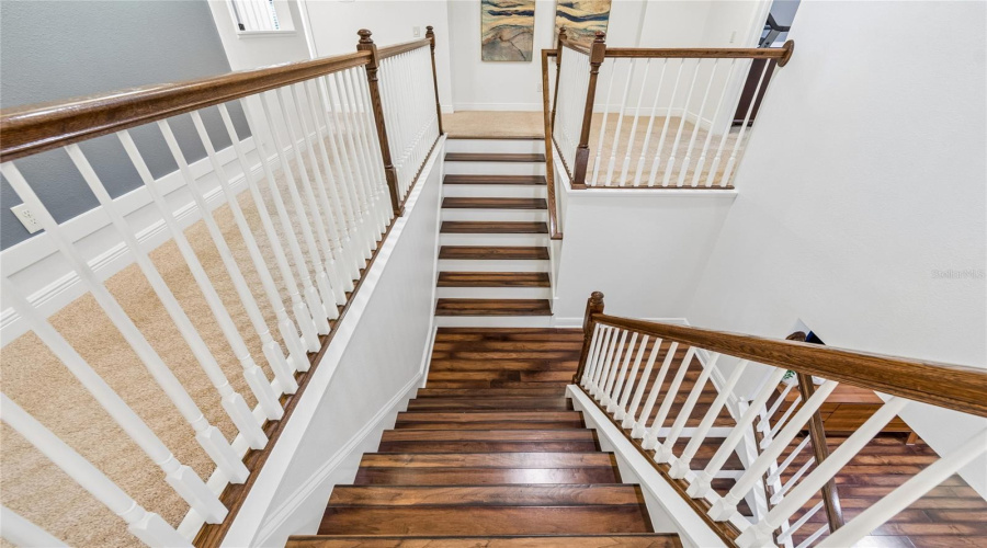 Lutz, Florida 33558, 5 Bedroom Bedrooms, ,4 Bathroombathrooms,Residential,For Sale,Feather Grass Loop,0,Mfrtb8534872