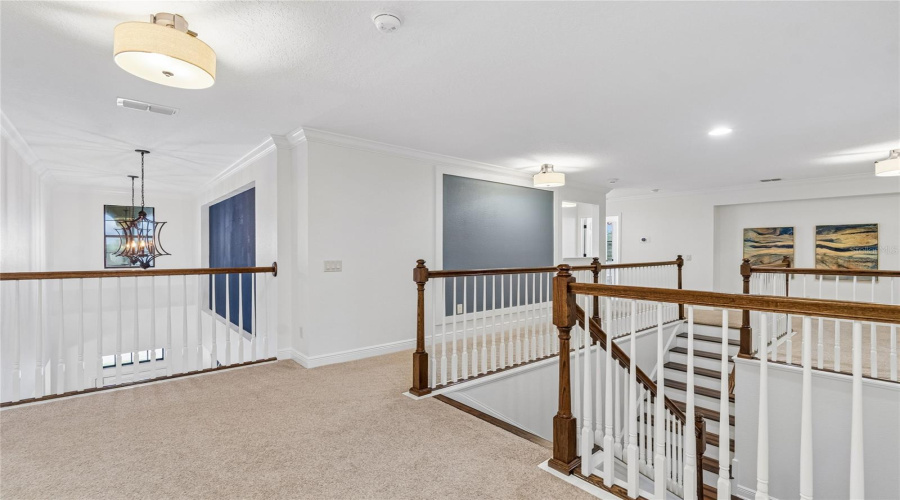 Lutz, Florida 33558, 5 Bedroom Bedrooms, ,4 Bathroombathrooms,Residential,For Sale,Feather Grass Loop,0,Mfrtb8534872
