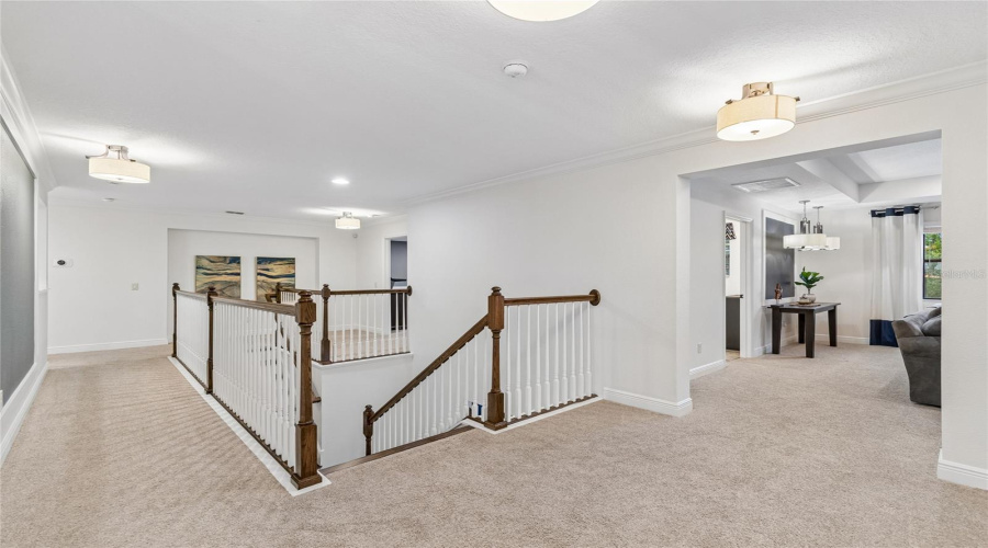 Lutz, Florida 33558, 5 Bedroom Bedrooms, ,4 Bathroombathrooms,Residential,For Sale,Feather Grass Loop,0,Mfrtb8534872