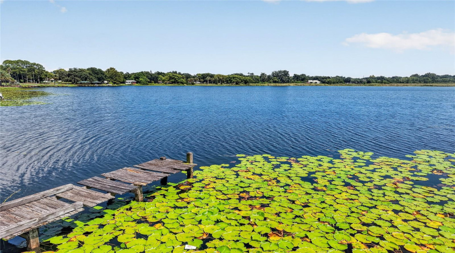 Lakefront