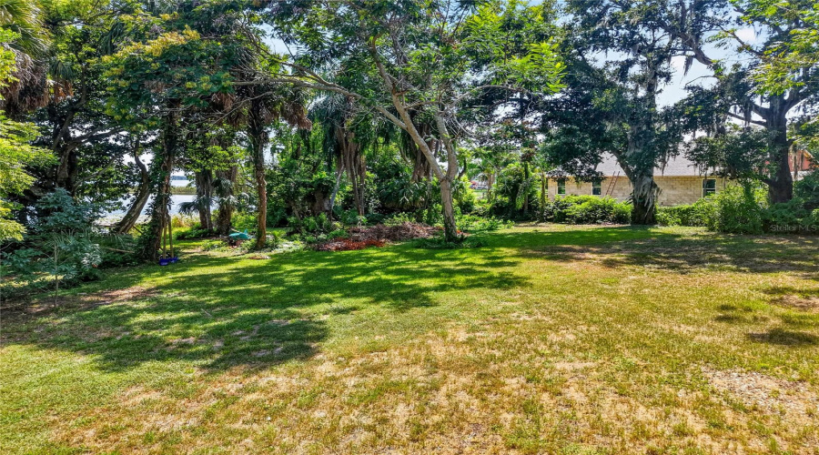 Rear Yard