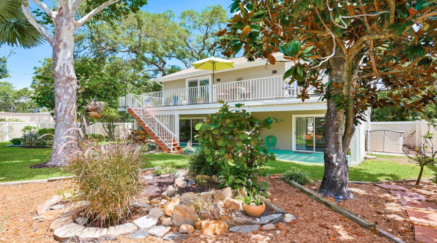 Garden With Sycamore, Florida Wysteria, Red Maple, Palm Tree, Sea Grape, Hibiscus, Frangipani &Amp; Magnolia Tree.