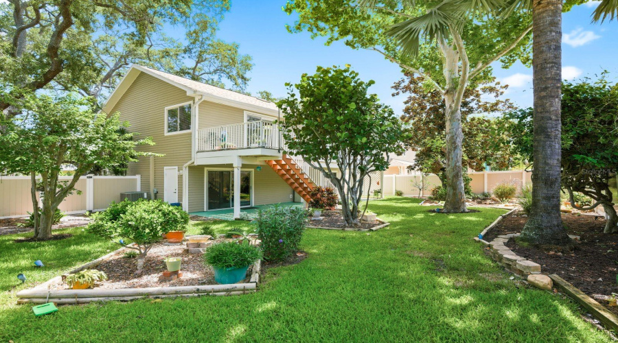 Garden With Sycamore, Florida Wysteria, Red Maple, Palm Tree, Sea Grape, Hibiscus, Frangipani &Amp; Magnolia Tree.