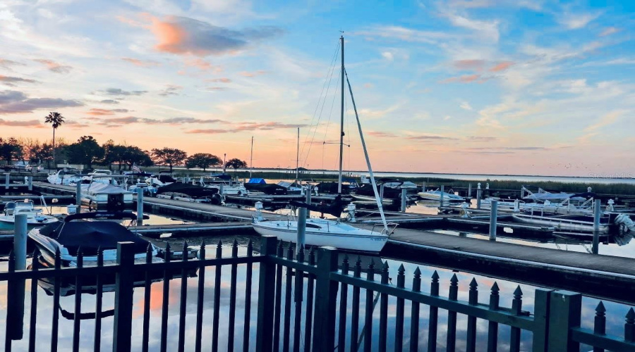 Marina 5 Miles
