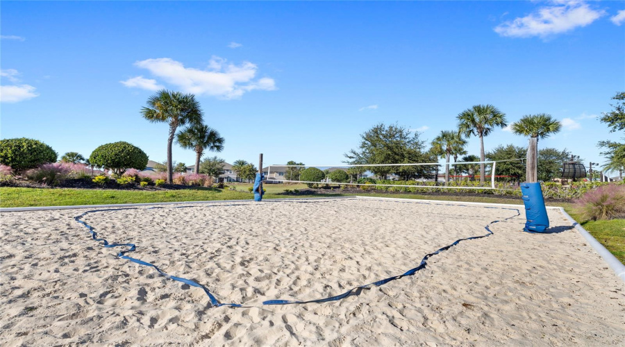 Volleyball