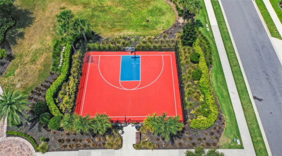 Basketball