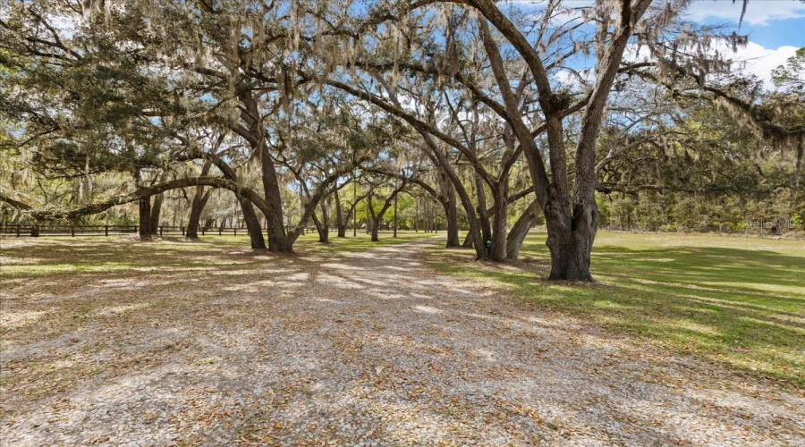 Trenton, Florida 32693, 5 Bedroom Bedrooms, ,5 Bathroombathrooms,Residential,For Sale,48Th,0,Mfrgc538338