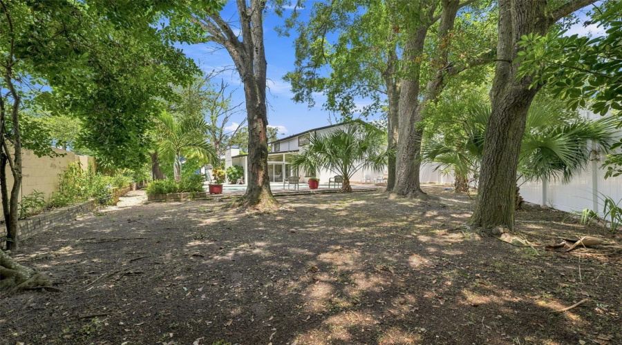Backyard