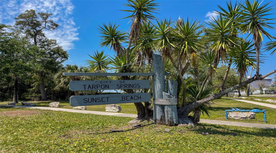 Tarpon Springs, Florida 34689, 3 Bedroom Bedrooms, ,2 Bathroombathrooms,Residential,For Sale,Athenian,0,Mfrtb8538139