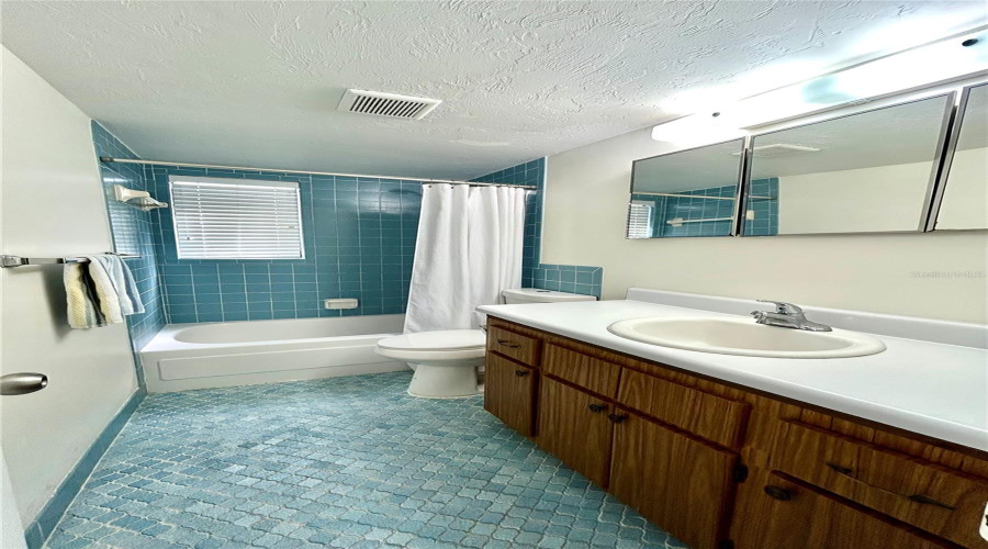Guest Bathroom With Shower/Tub Combo