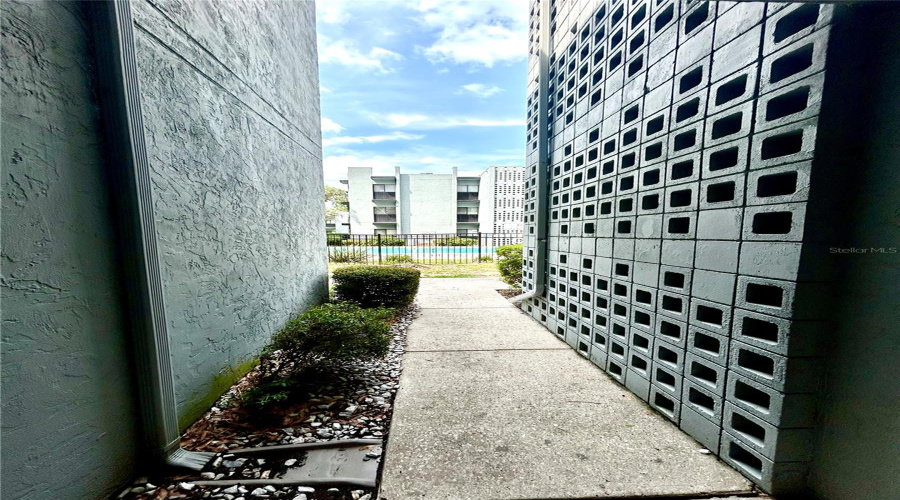 View From Front Door