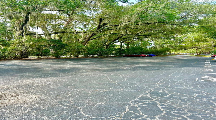 Parking Lot