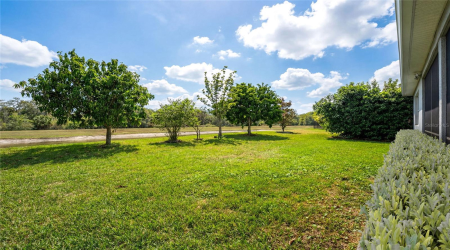 Orlando, Florida 32824, 4 Bedroom Bedrooms, ,3 Bathroombathrooms,Residential,For Sale,Ward,0,Mfro6387846