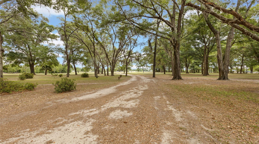 Trenton, Florida 32693, 3 Bedroom Bedrooms, ,2 Bathroombathrooms,Residential,For Sale,55Th,0,Mfrgc540023