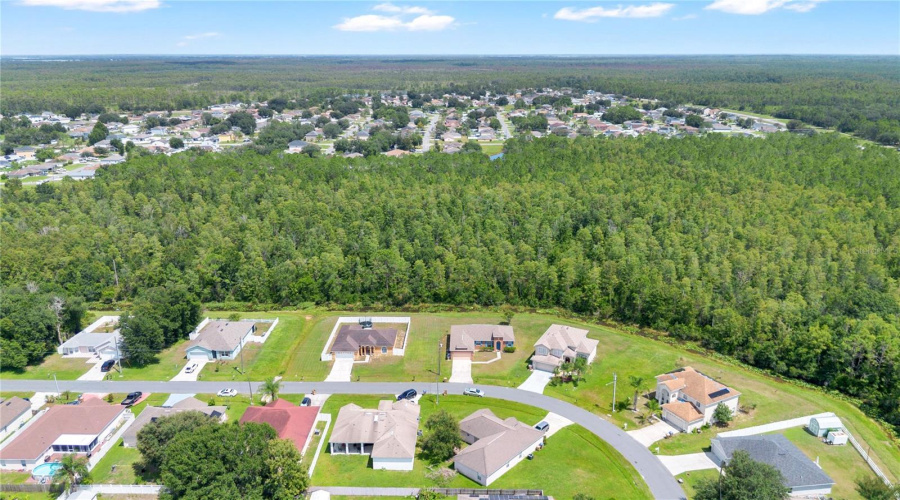 Kissimmee, Florida 34759, 4 Bedroom Bedrooms, ,2 Bathroombathrooms,Residential,For Sale,Palaiseau,0,Mfrs5156361