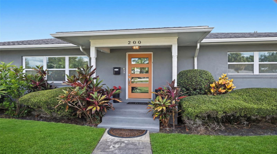Mid Century Modern
