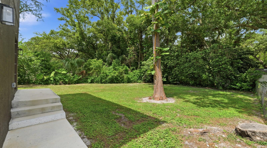 Tampa, Florida 33604, 4 Bedroom Bedrooms, ,3 Bathroombathrooms,Residential,For Sale,Dakota,0,Mfrtb8525332