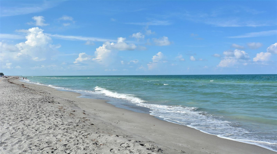 The Gulf Is At Your Doorstep And The Beach Is Calling You....
