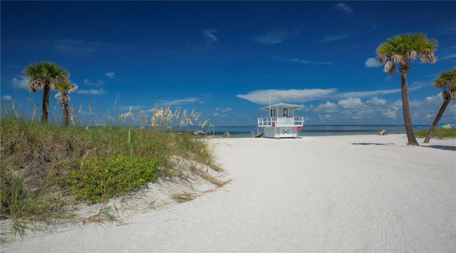 Dip Your Toes In The Sand At Nearby Howard Park