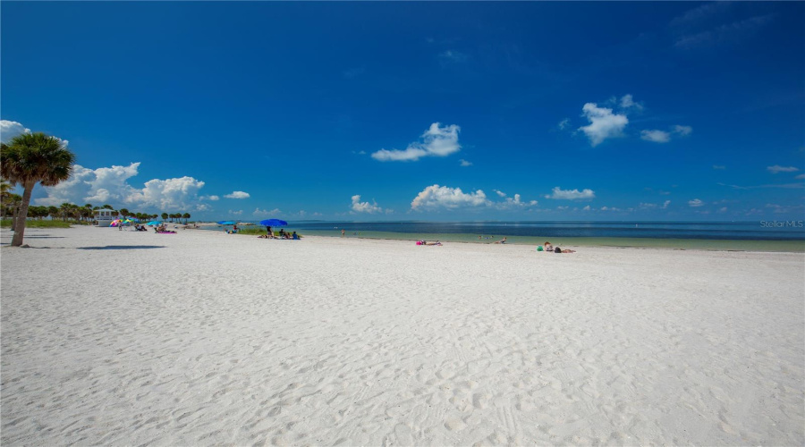 Gorgeous Beach At Fred Howard Park