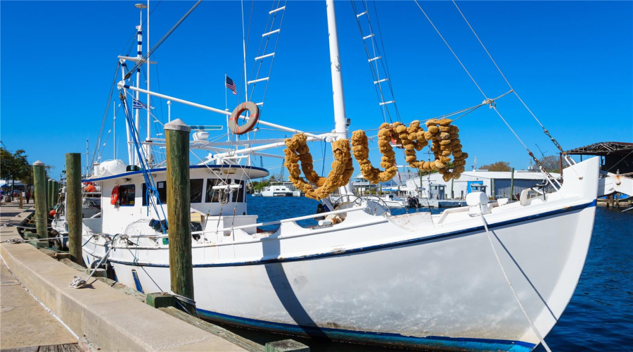 Fishing Boasts At Ts Springs Docks