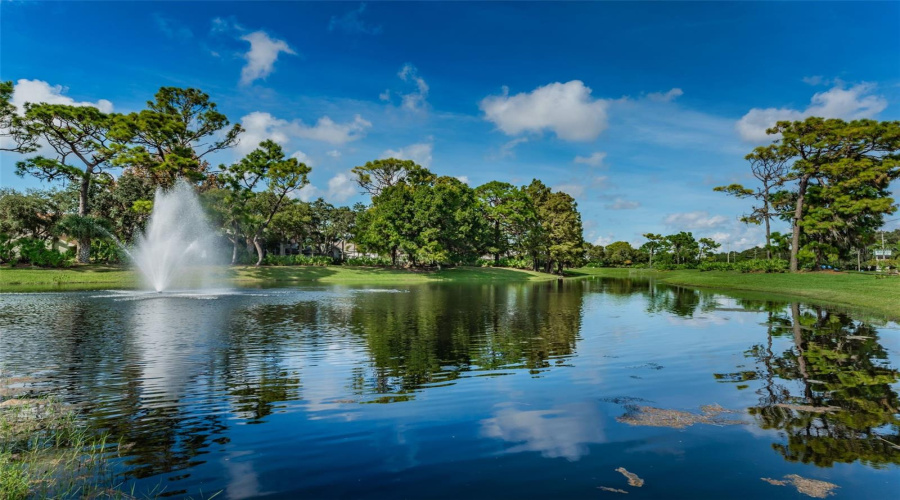 Bayou Club Lake